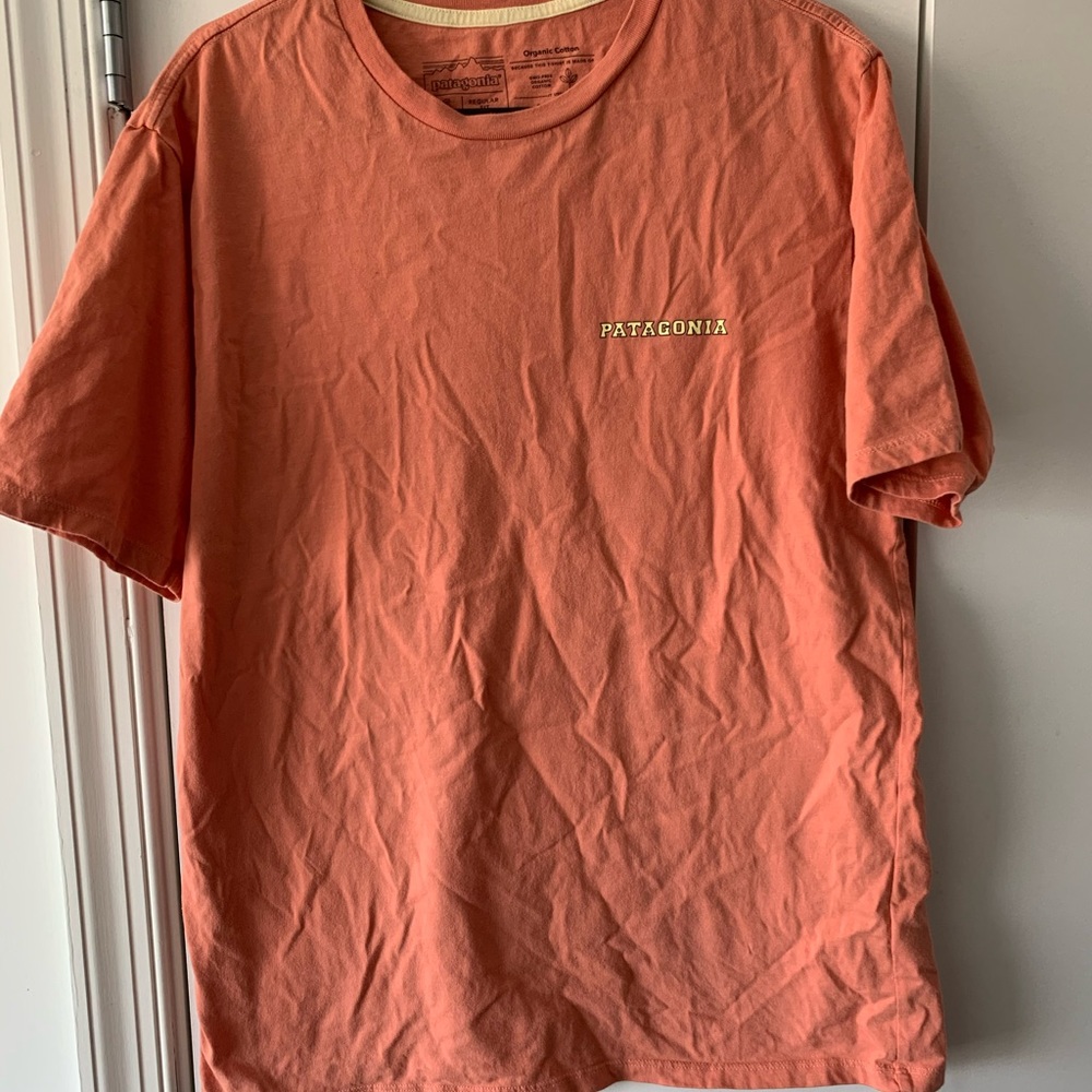 patagonia tshirt